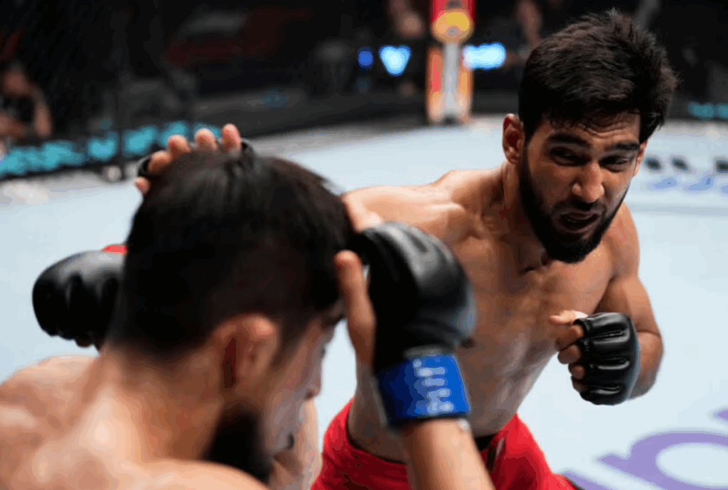 ufs mma india
