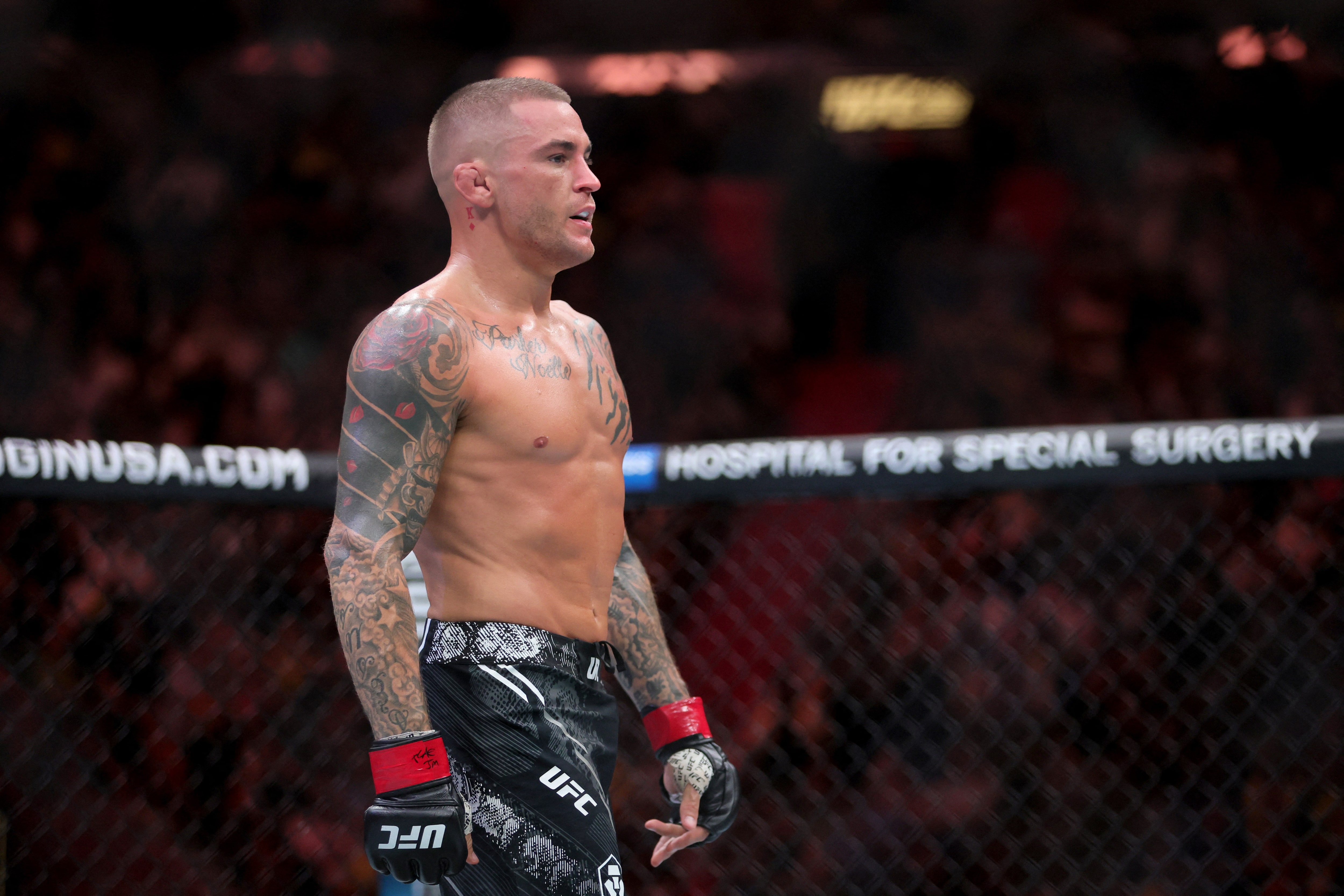 mma-Dustin Poirier
