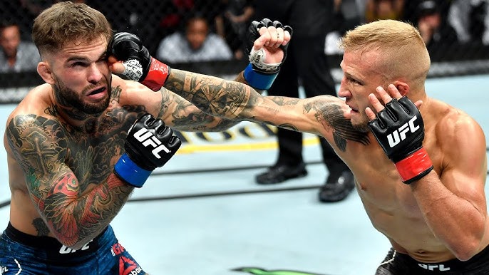 TJ Dillashaw fighter